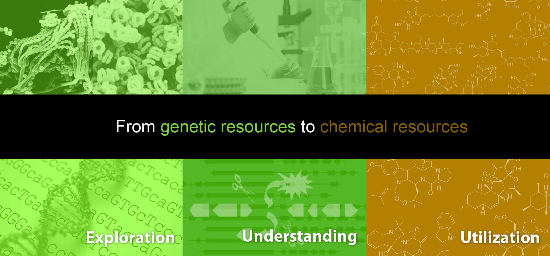 From genetic resources to chemical resources